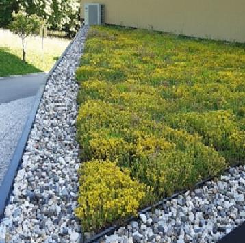 Zelena streha na Čebelarski zvezi Slovenije